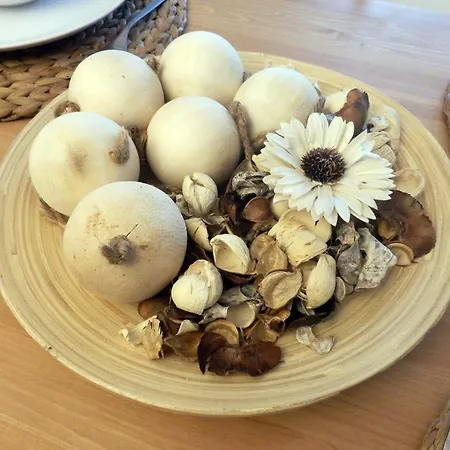 Redlowo グディニャ