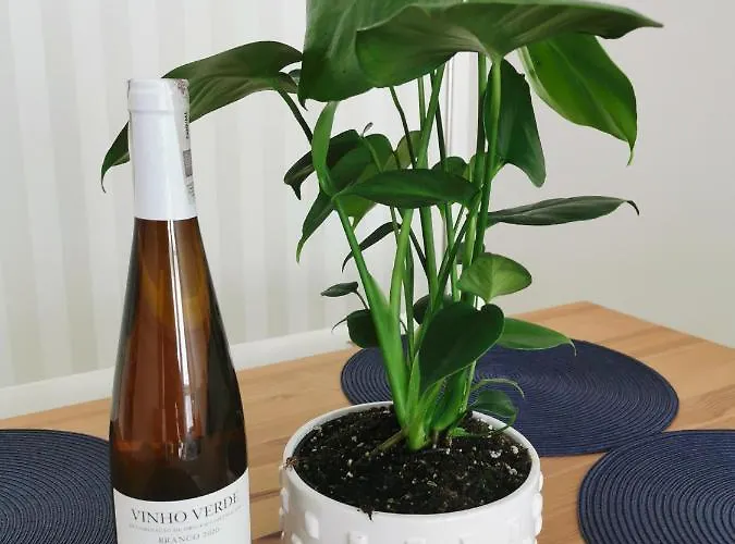 Redlowo Daire Gdynia